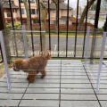 Pet Clear acrílico Playpen Fence Cage